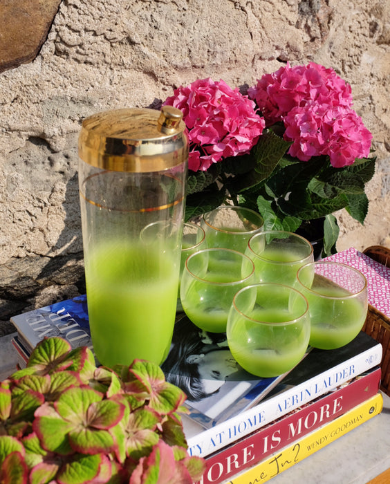 Blendo Lime Green Cocktail Set