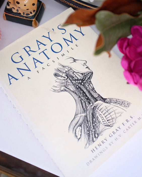 Gray’s Anatomy Coffee Table Book