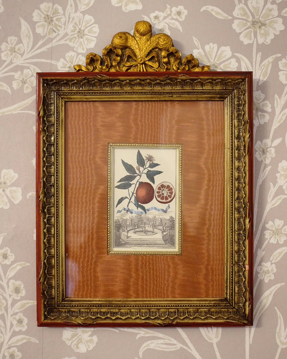 Pair of Botanicals with Moiree Silk Matting and Bow Frame