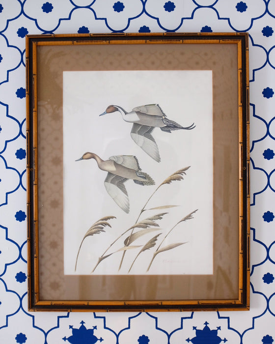 Signed Duck Print in Faux Bamboo Frame