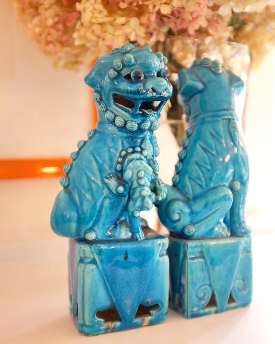 Turquoise Porcelain Glazed Foo Dogs
