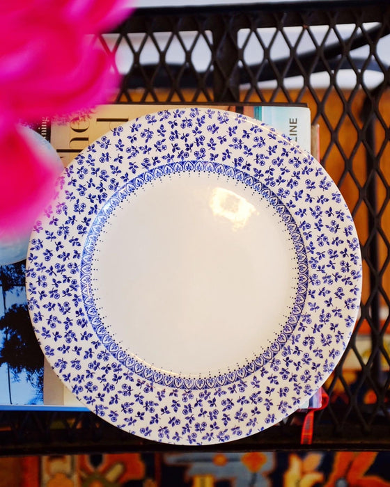Blue and White Floral Trim Plates