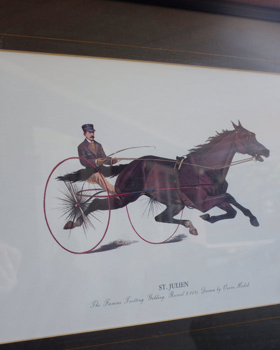 Harness Racing Print in Campaign Frame