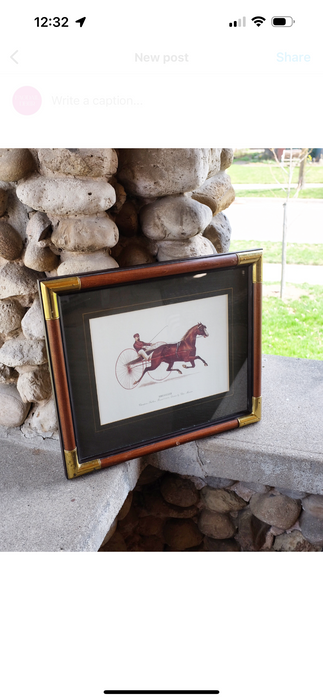 Harness Racing Print in Campaign Frame